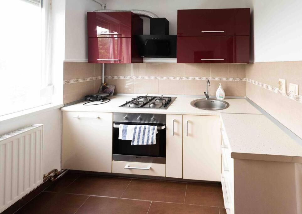 Apartament Timisoara Apartman Kültér fotó